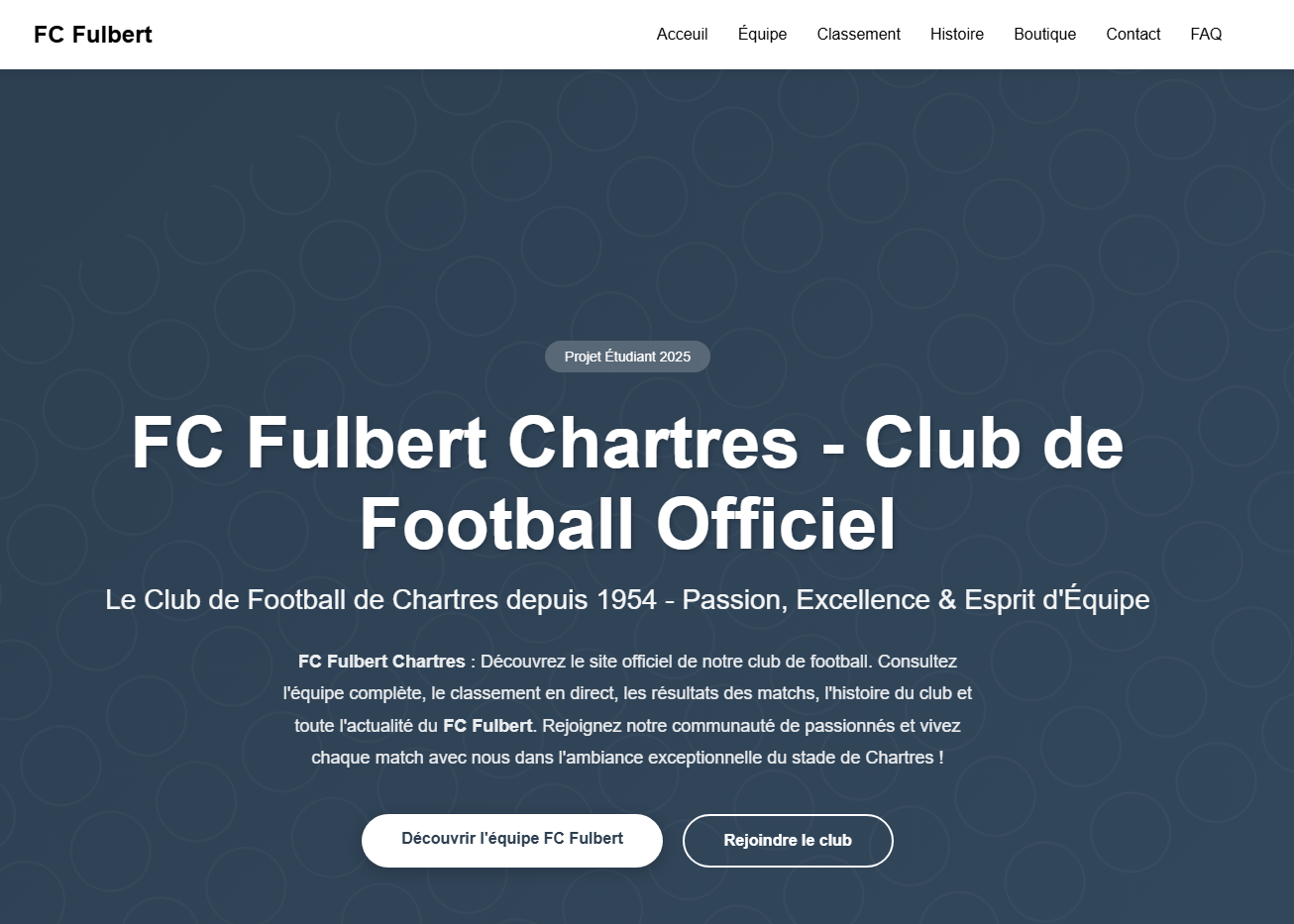 Miniature — Site web / SEO